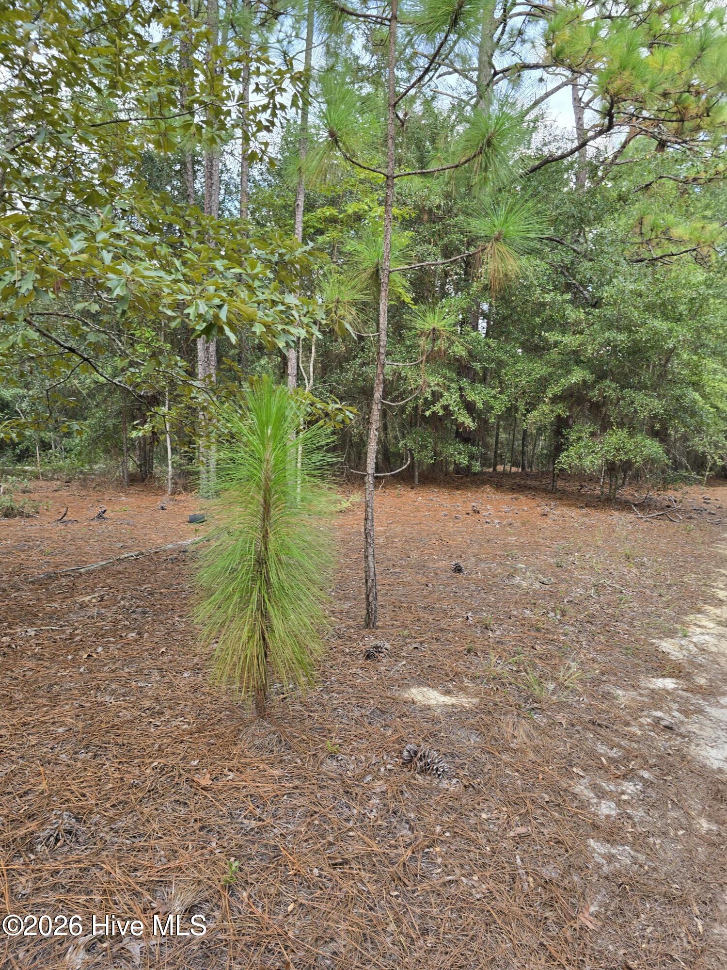 317 R J Johnson Road