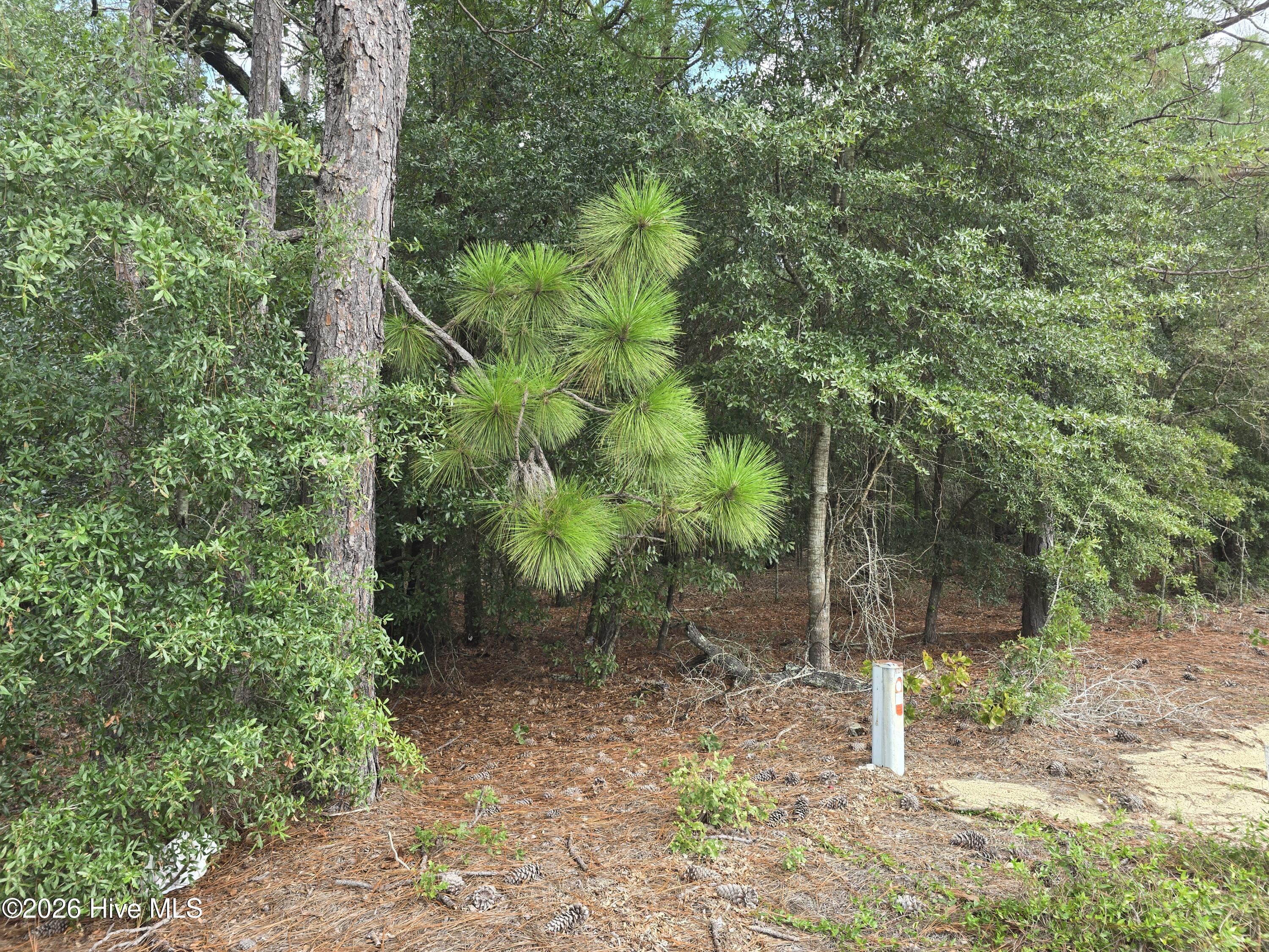 317 R J Johnson Road Property Photo 2