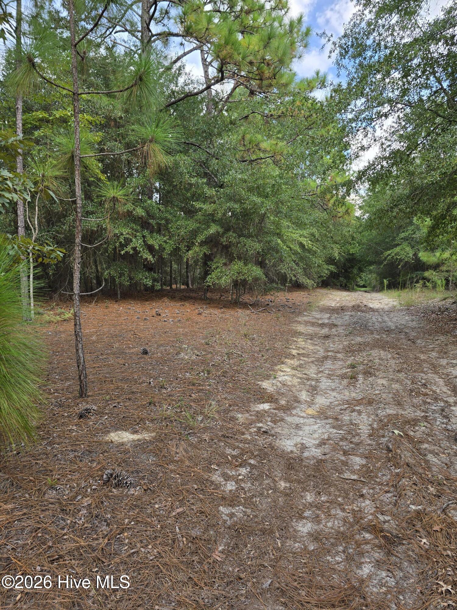 317 R J Johnson Road Property Photo 3
