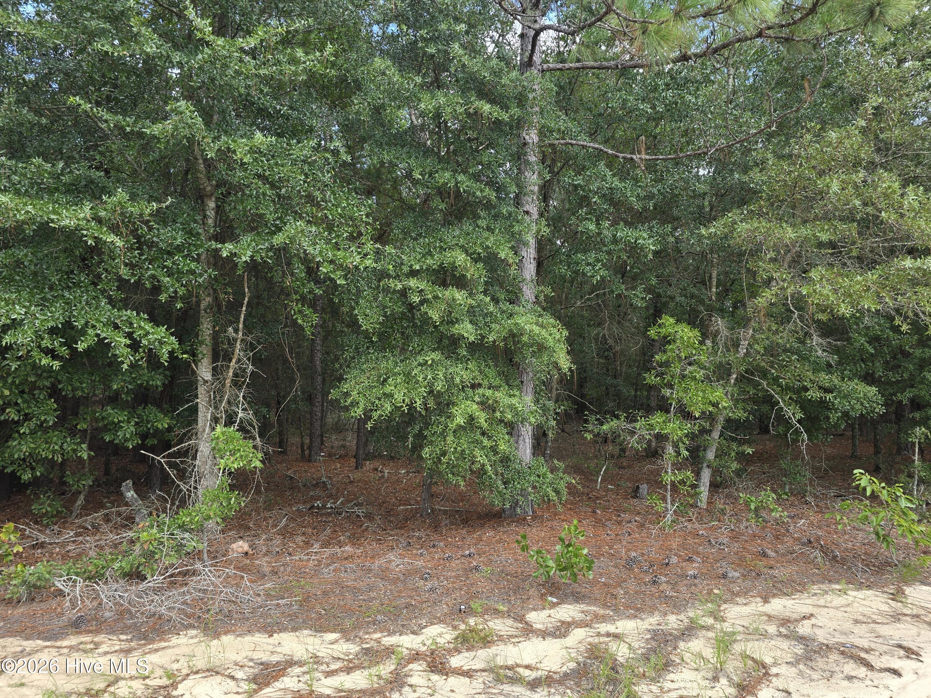 317 R J Johnson Road Property Photo 4