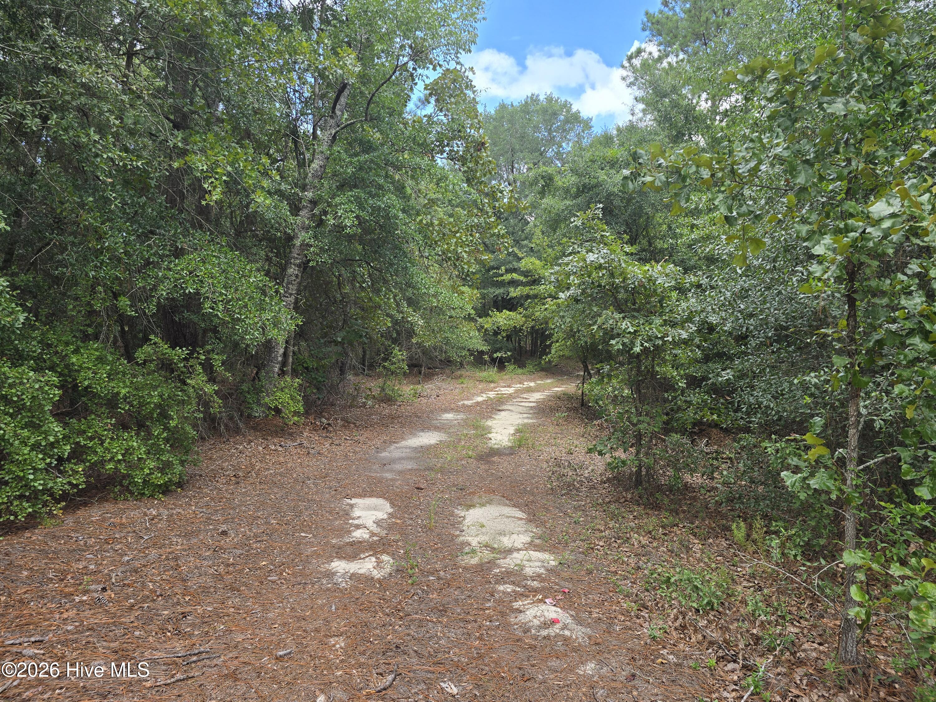 317 R J Johnson Road Property Photo 5