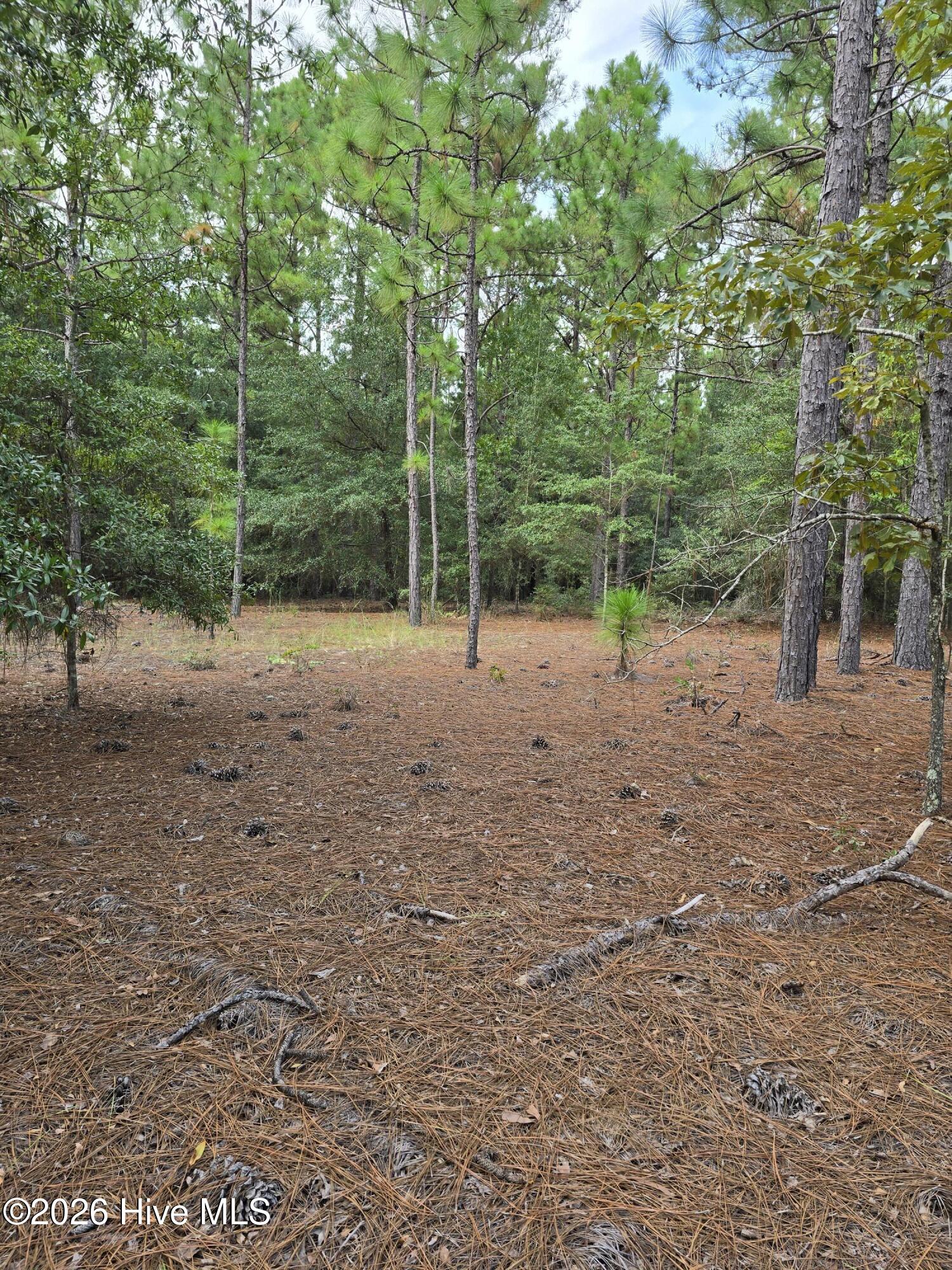 317 R J Johnson Road Property Photo 6