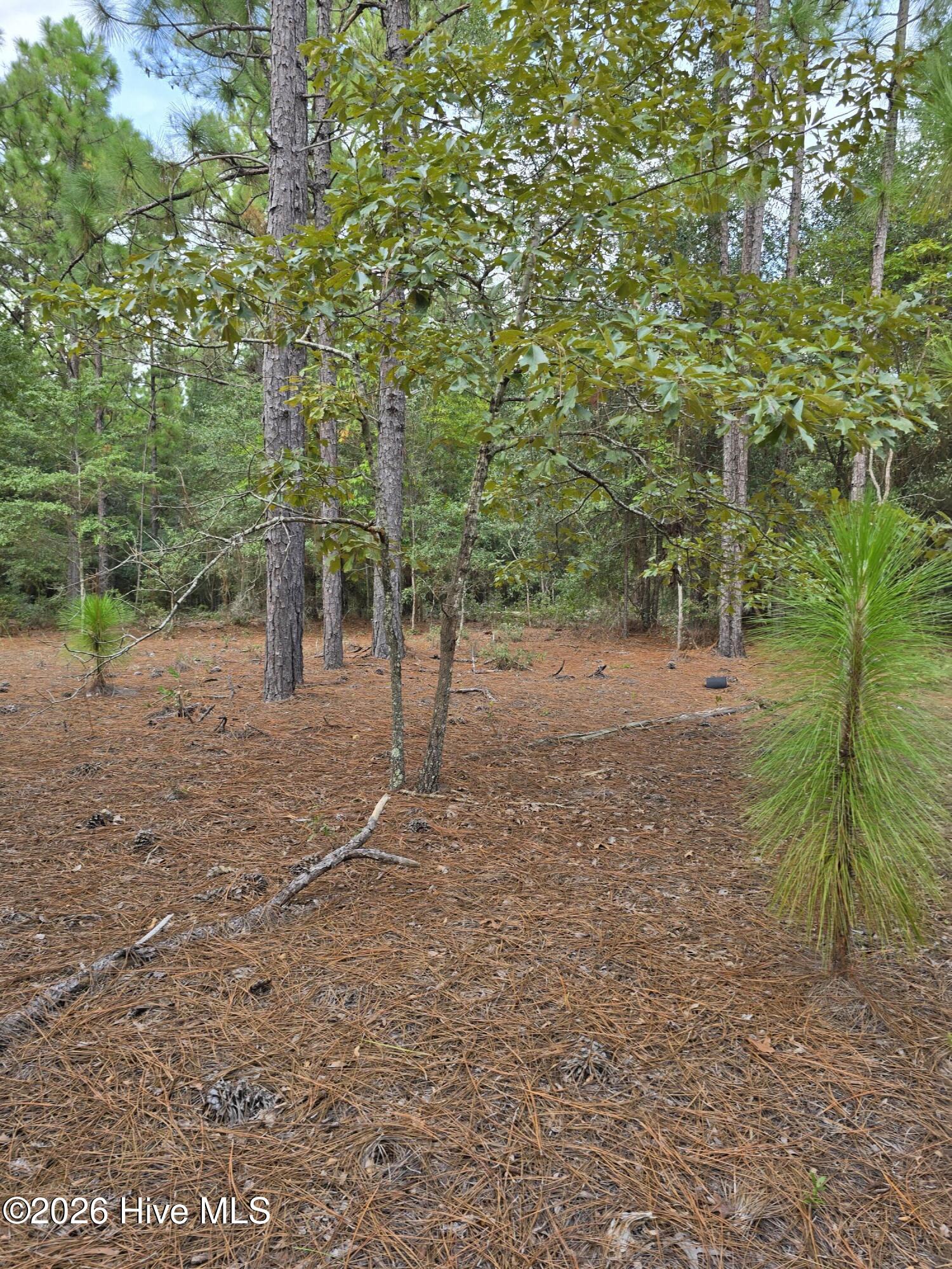 317 R J Johnson Road Property Photo 8