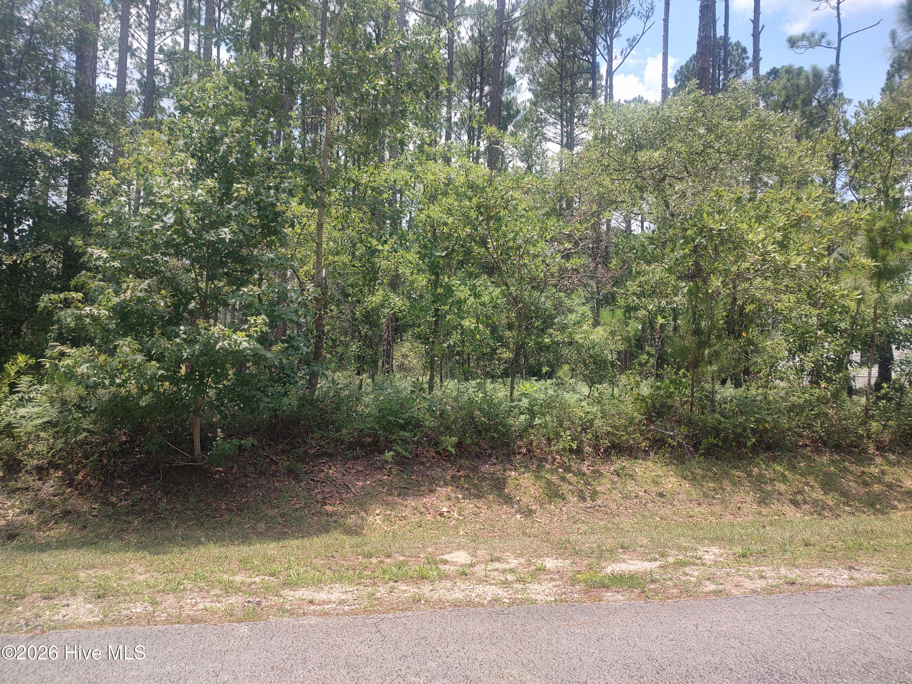 906 Bee Tree Court Property Photo 1