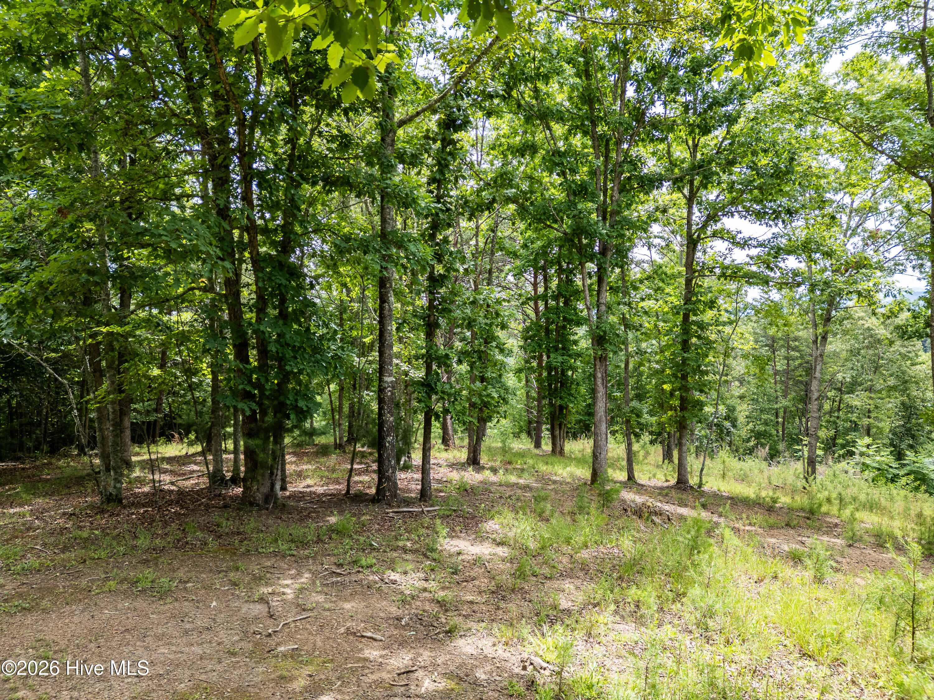 1 1 Stormy Ridge Property Photo 5