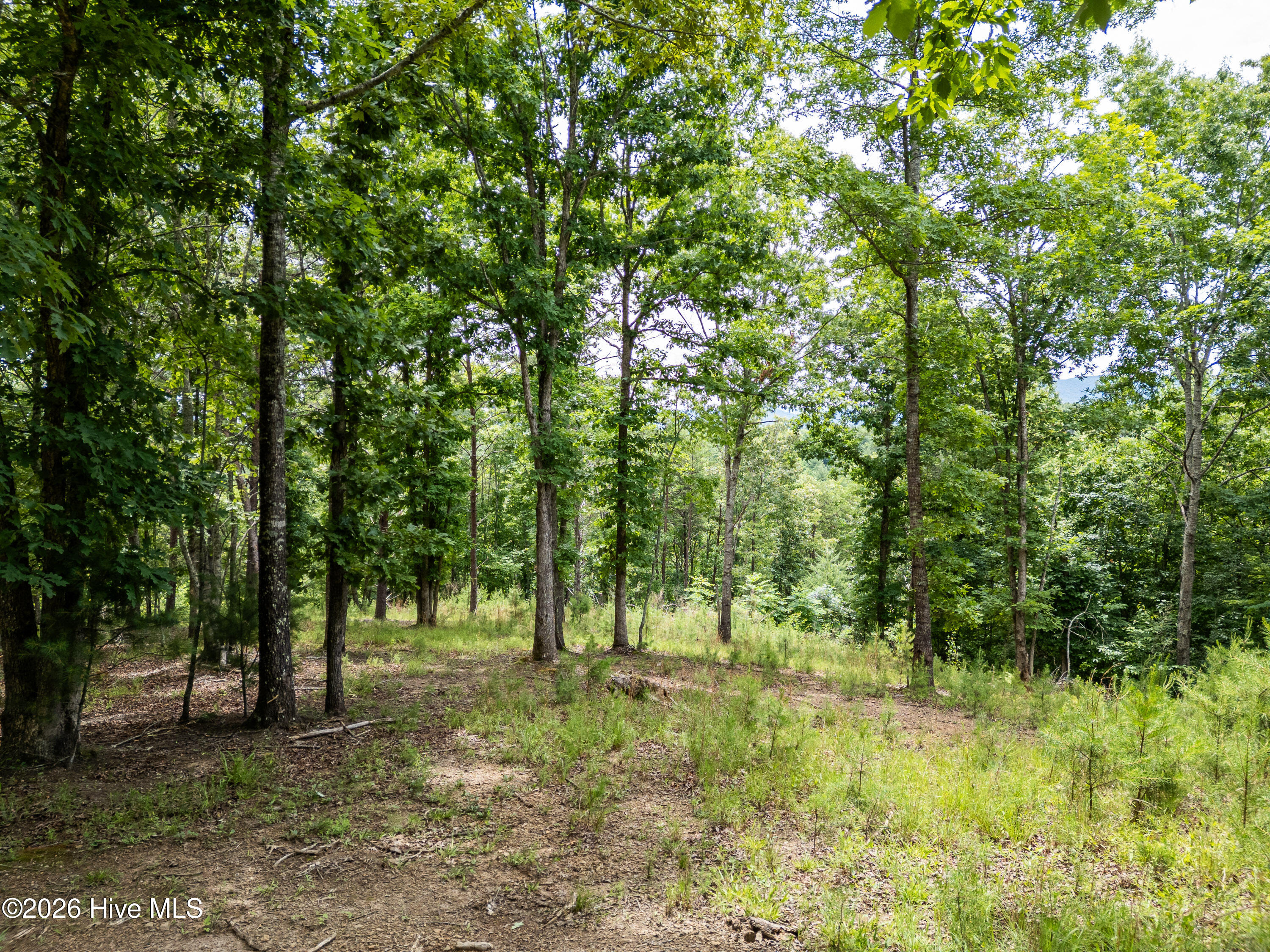 1 1 Stormy Ridge Property Photo 6