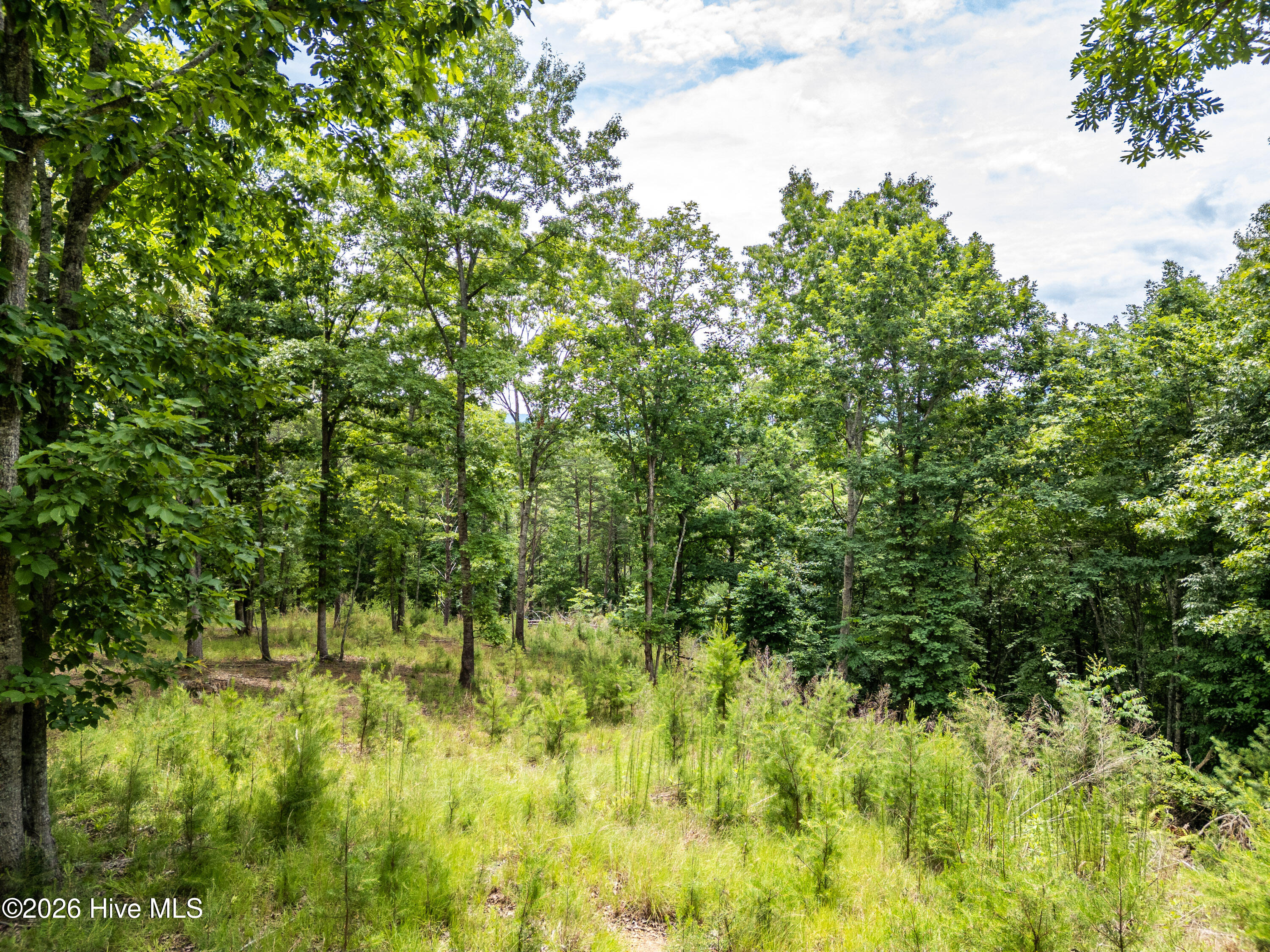 1 1 Stormy Ridge Property Photo 7