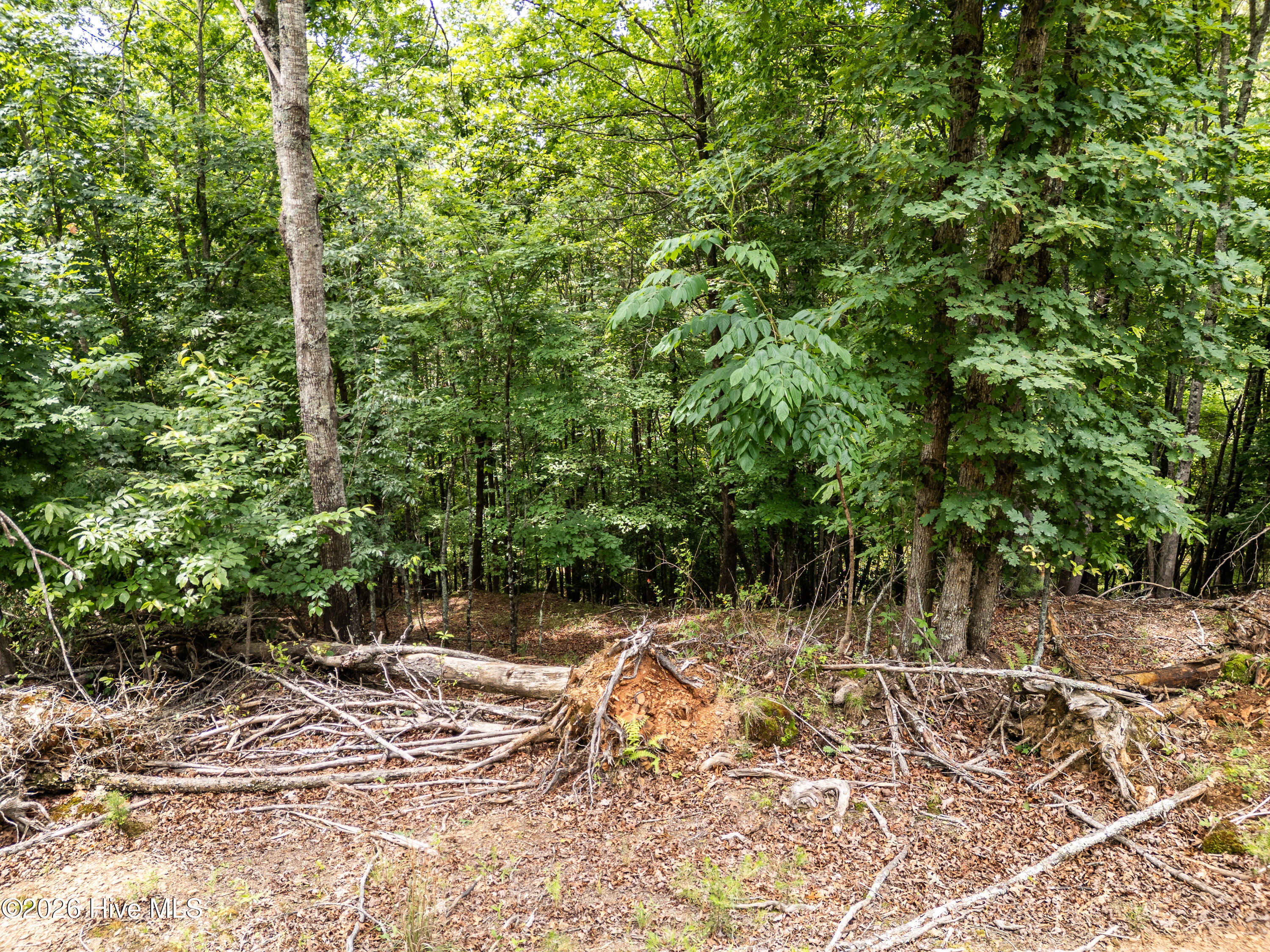 1 1 Stormy Ridge Property Photo 9