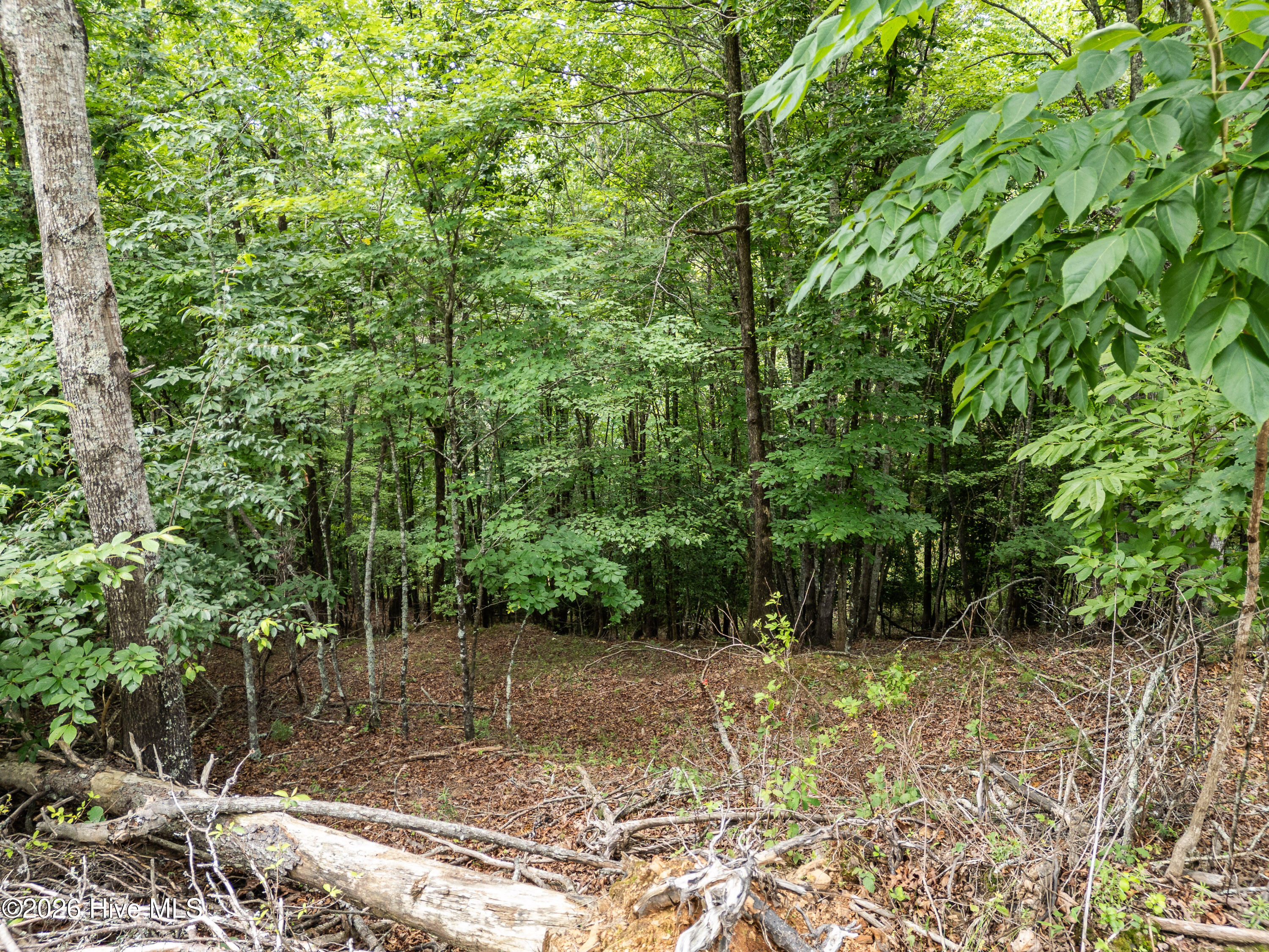 1 1 Stormy Ridge Property Photo 10
