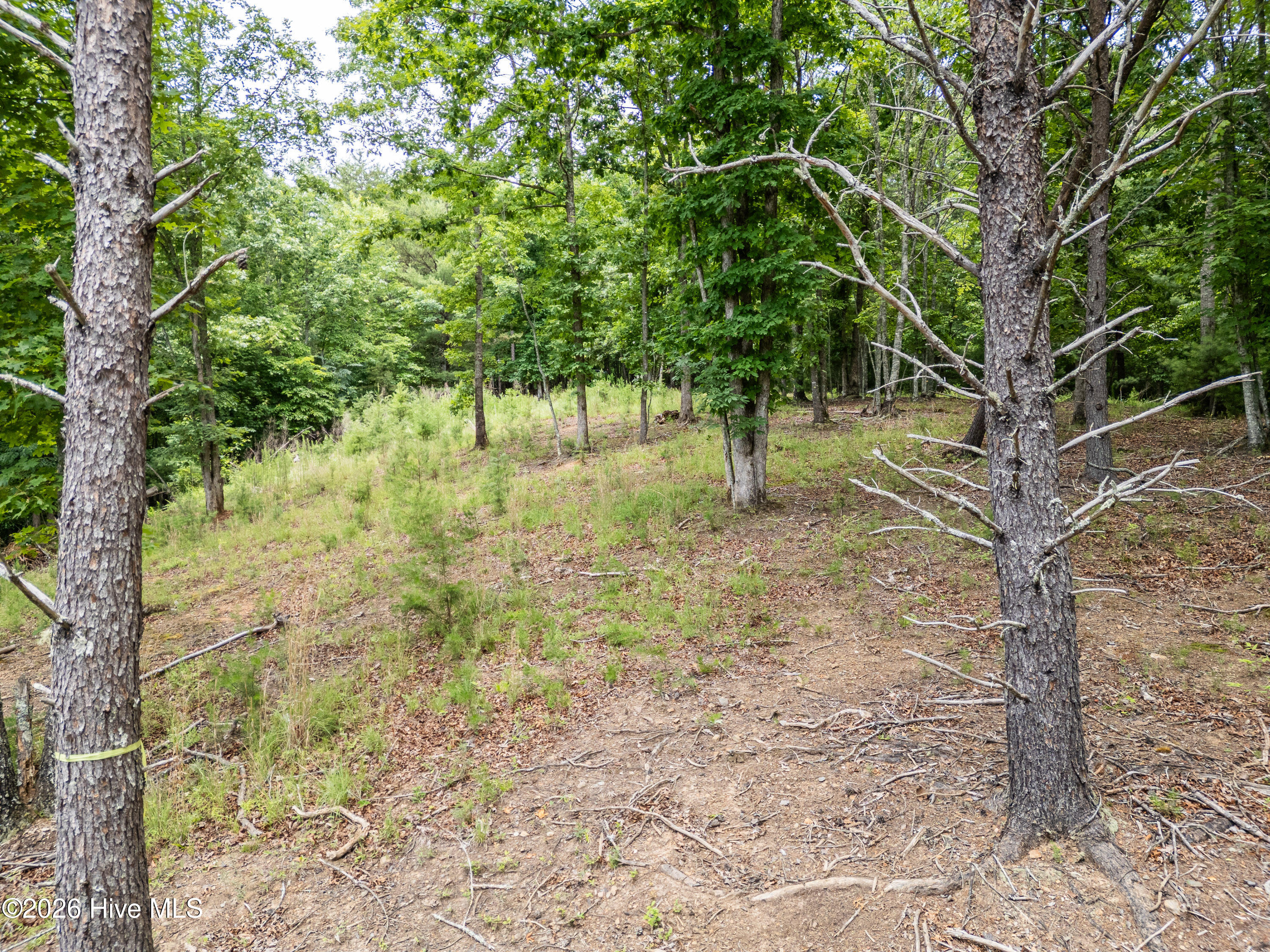 1 1 Stormy Ridge Property Photo 11