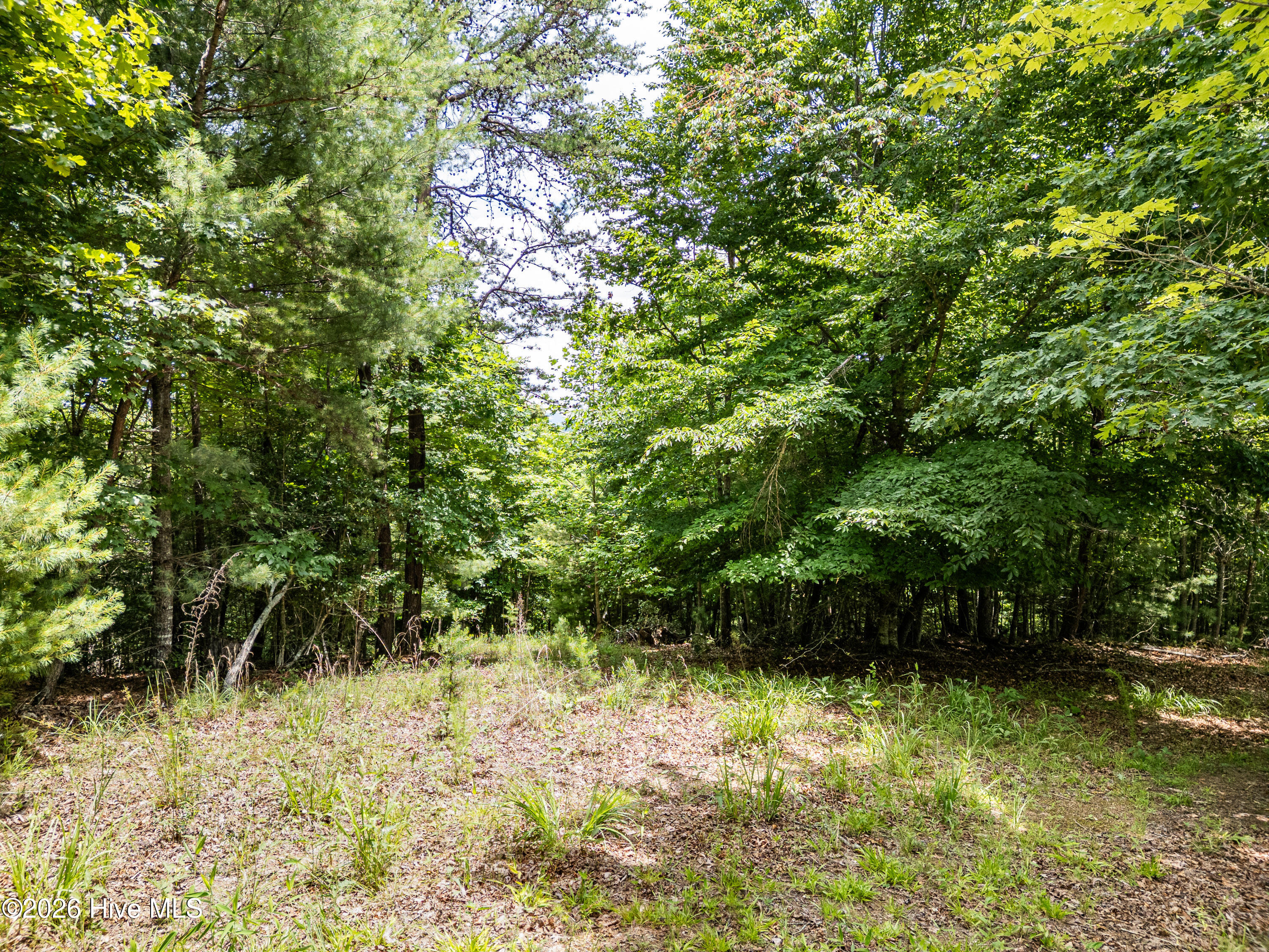 2 2 Stormy Ridge Property Photo 1