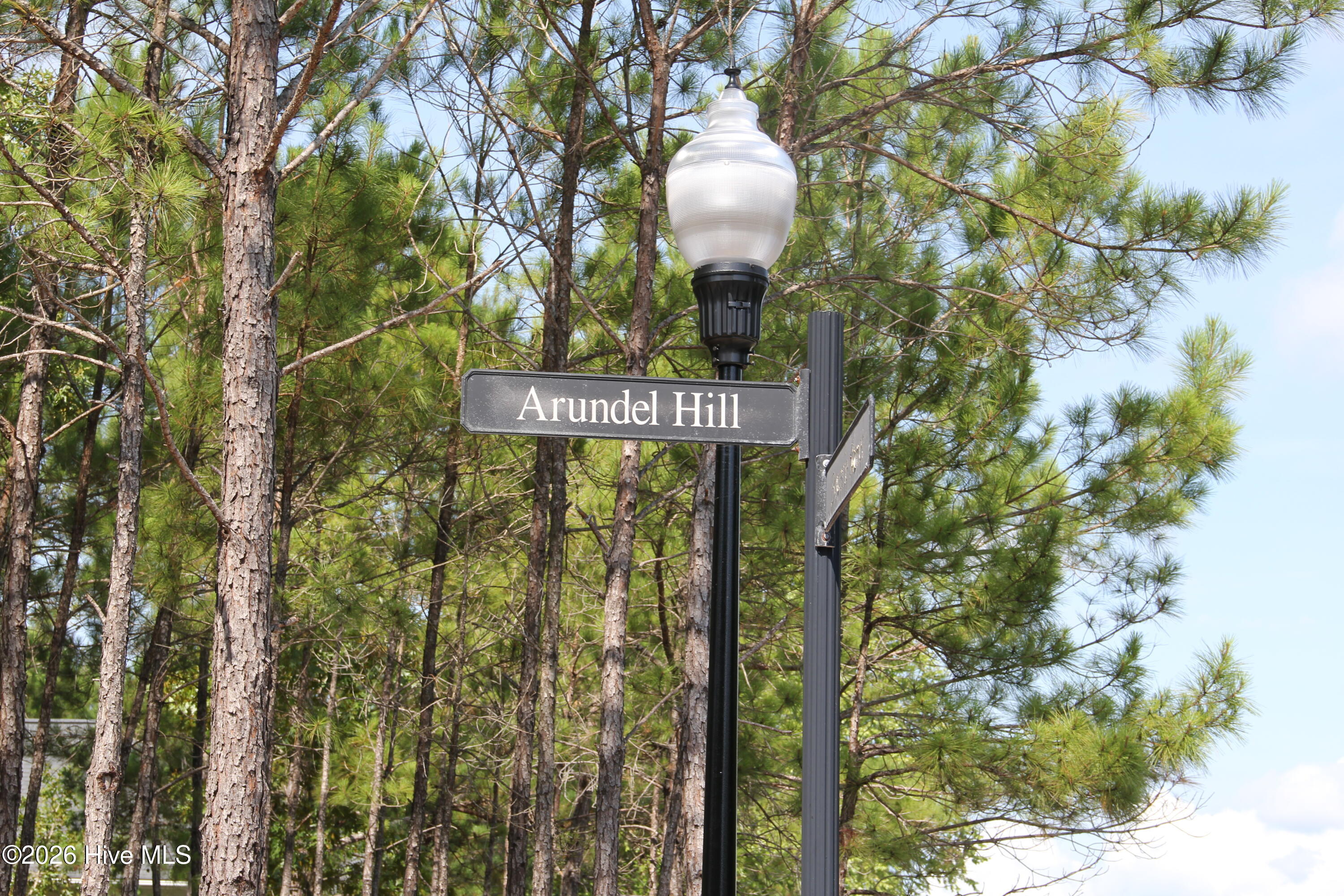 3009 96 Arundel Hill Sw Property Photo 5
