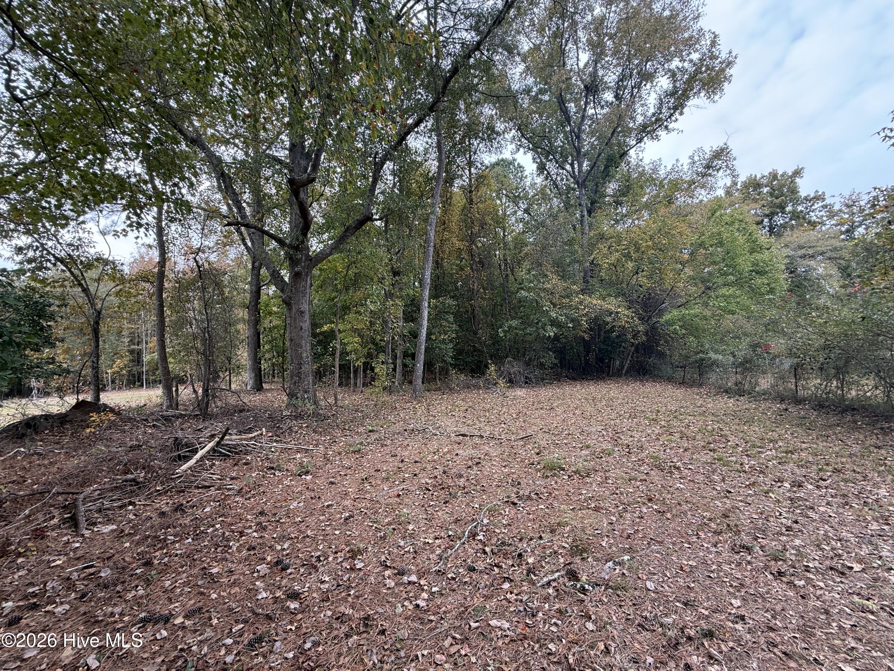 119 Bessie Road Property Photo 34