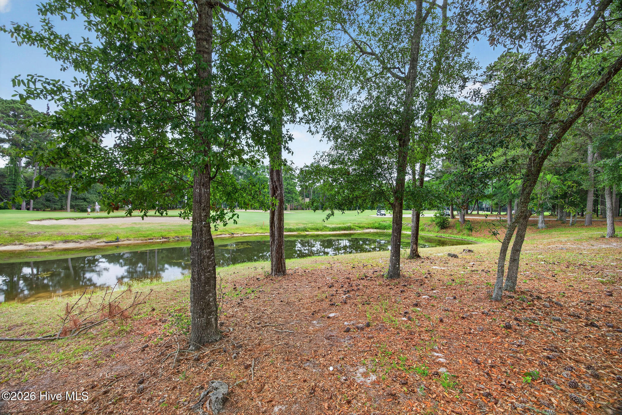 85 Marina Drive Sw Property Photo 12