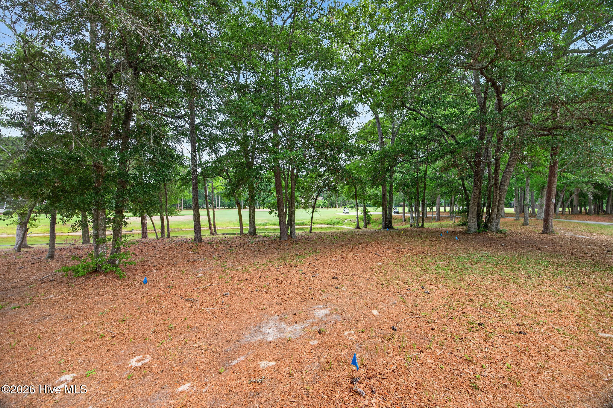 85 Marina Drive Sw Property Photo 17