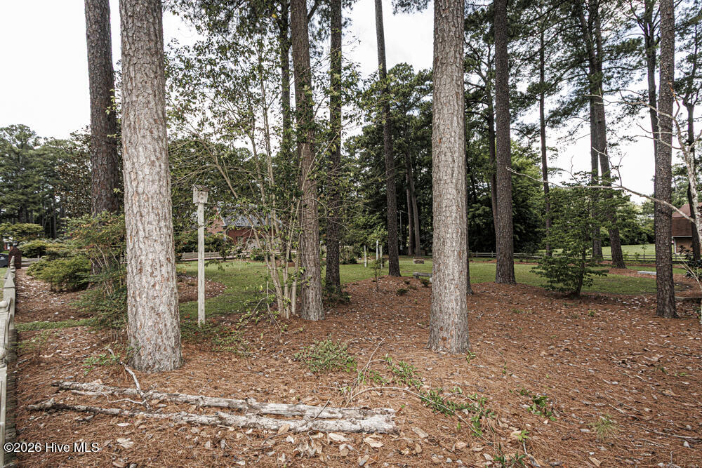 206 Westview Park Drive Property Photo 8
