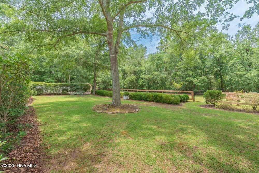 169 Saw Pine Drive Property Photo 65