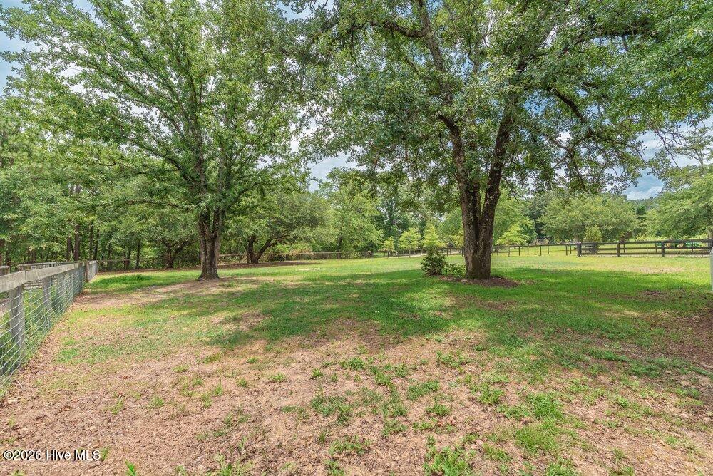 169 Saw Pine Drive Property Photo 75