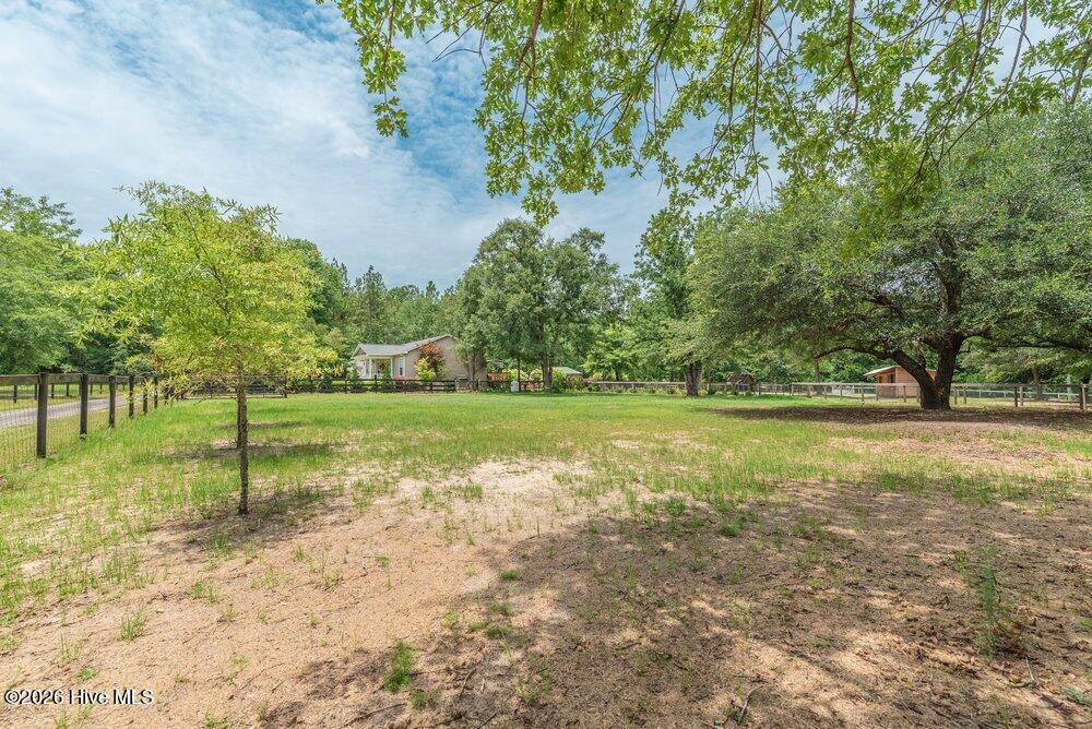 169 Saw Pine Drive Property Photo 77