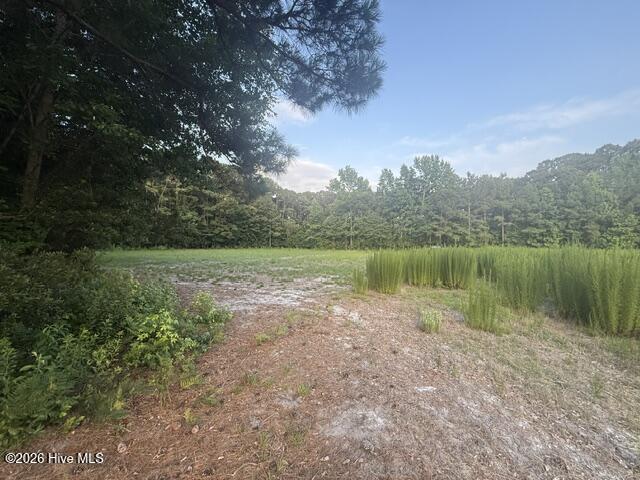 1005 6 Regal Road Property Photo 3