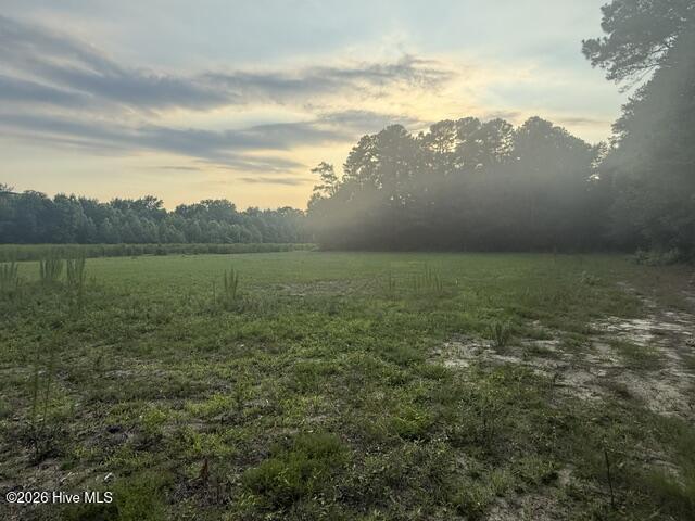 1005 6 Regal Road Property Photo 4