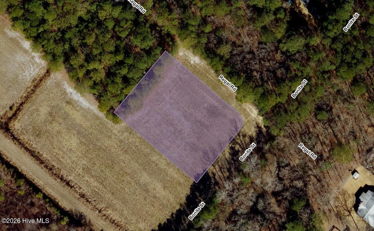 1005 6 Regal Road Property Photo 5