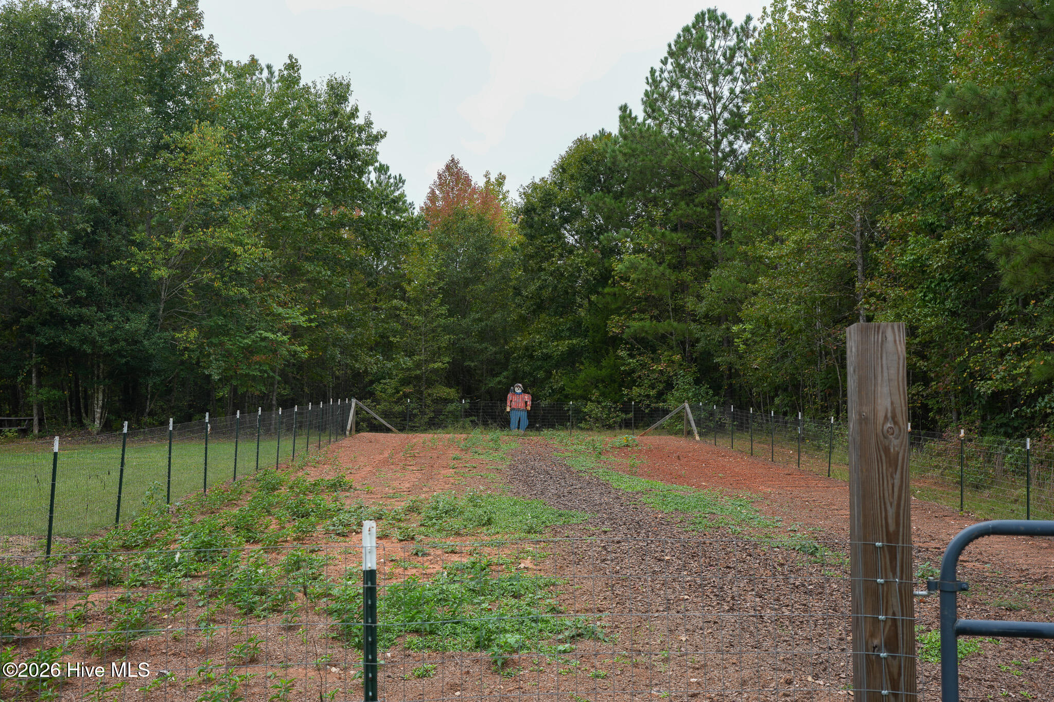 3801 Ga-220 Property Photo 8