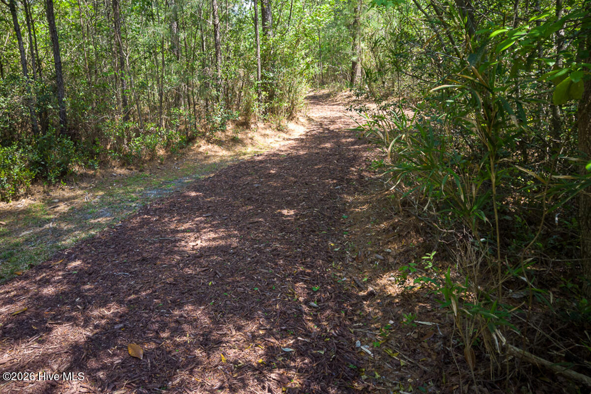 4291 Cobleskill Drive Property Photo 88