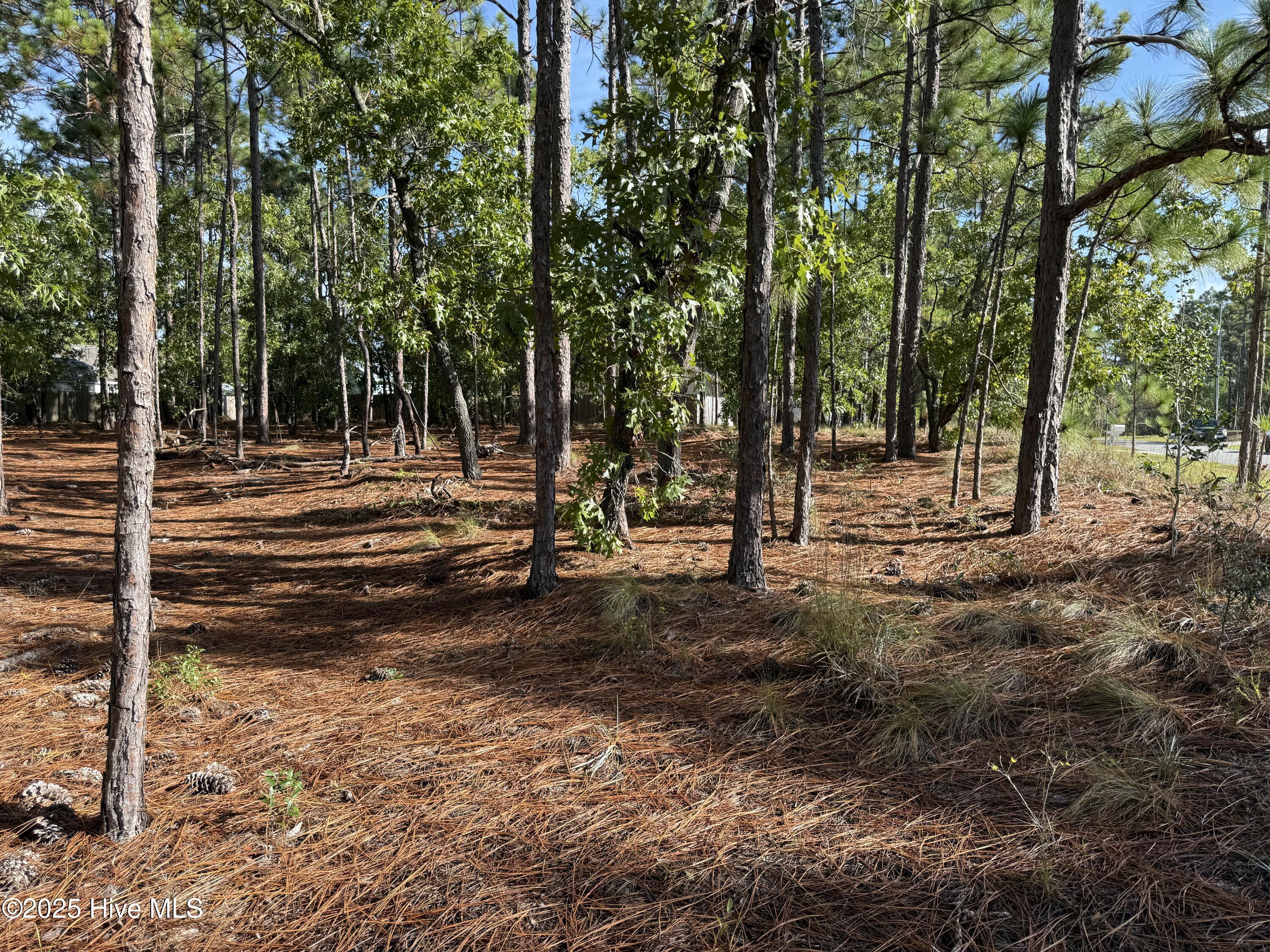 585 258 Westwood Road Property Photo 1
