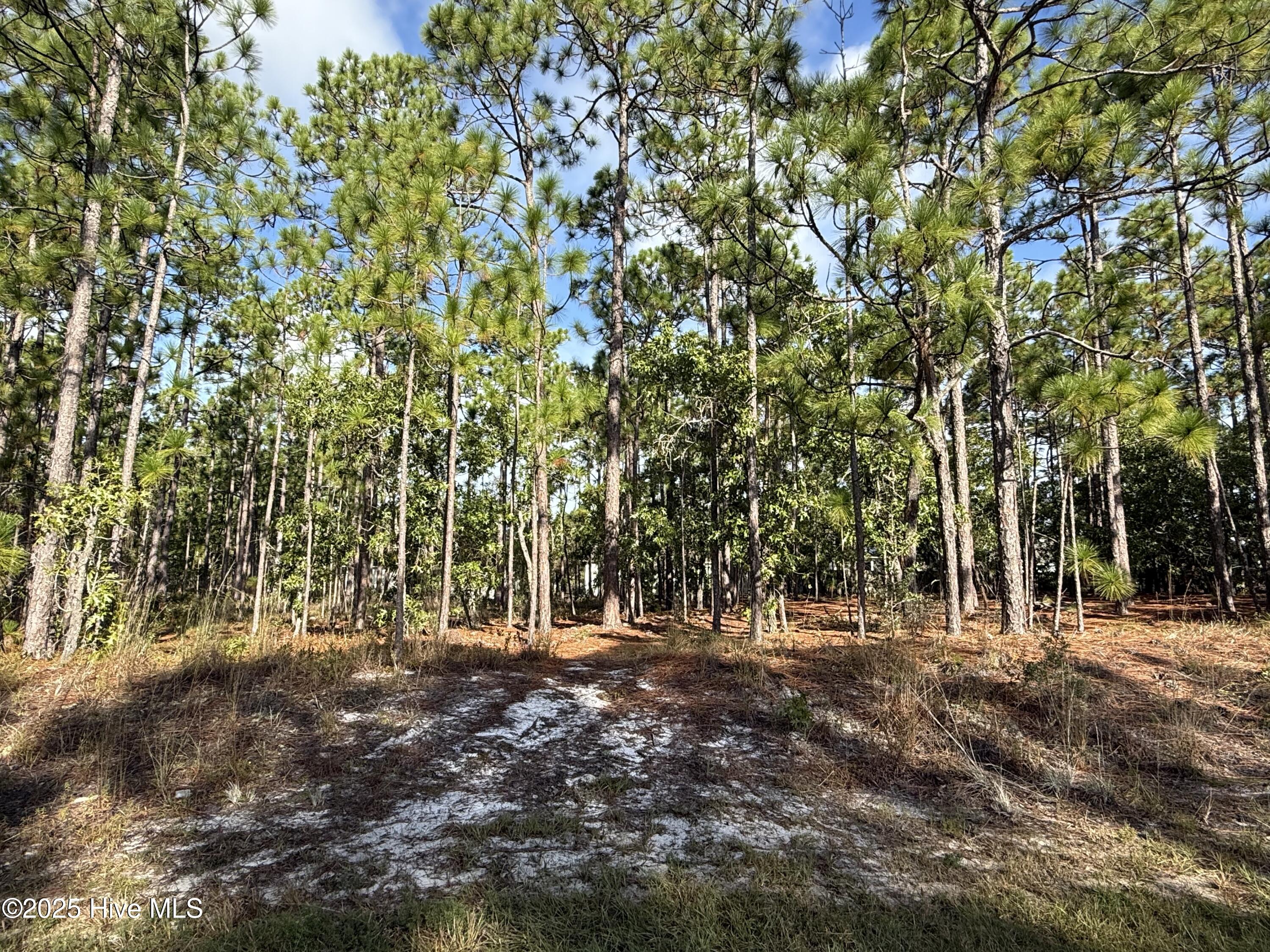 585 258 Westwood Road Property Photo 2