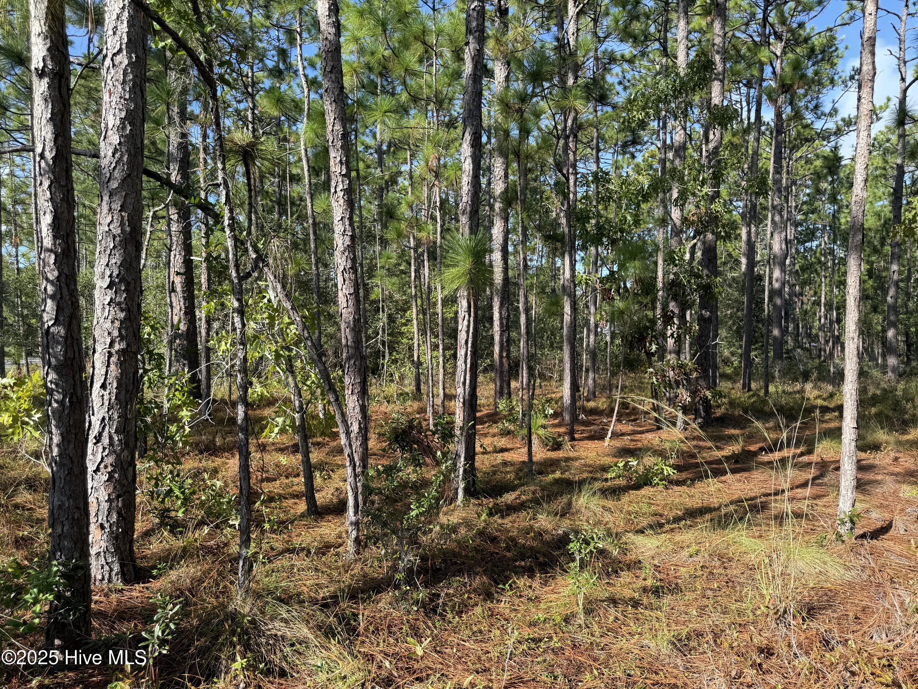 585 258 Westwood Road Property Photo 3