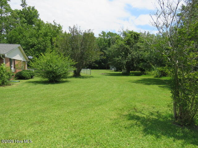 9424 Nc 210 Highway Property Photo 7