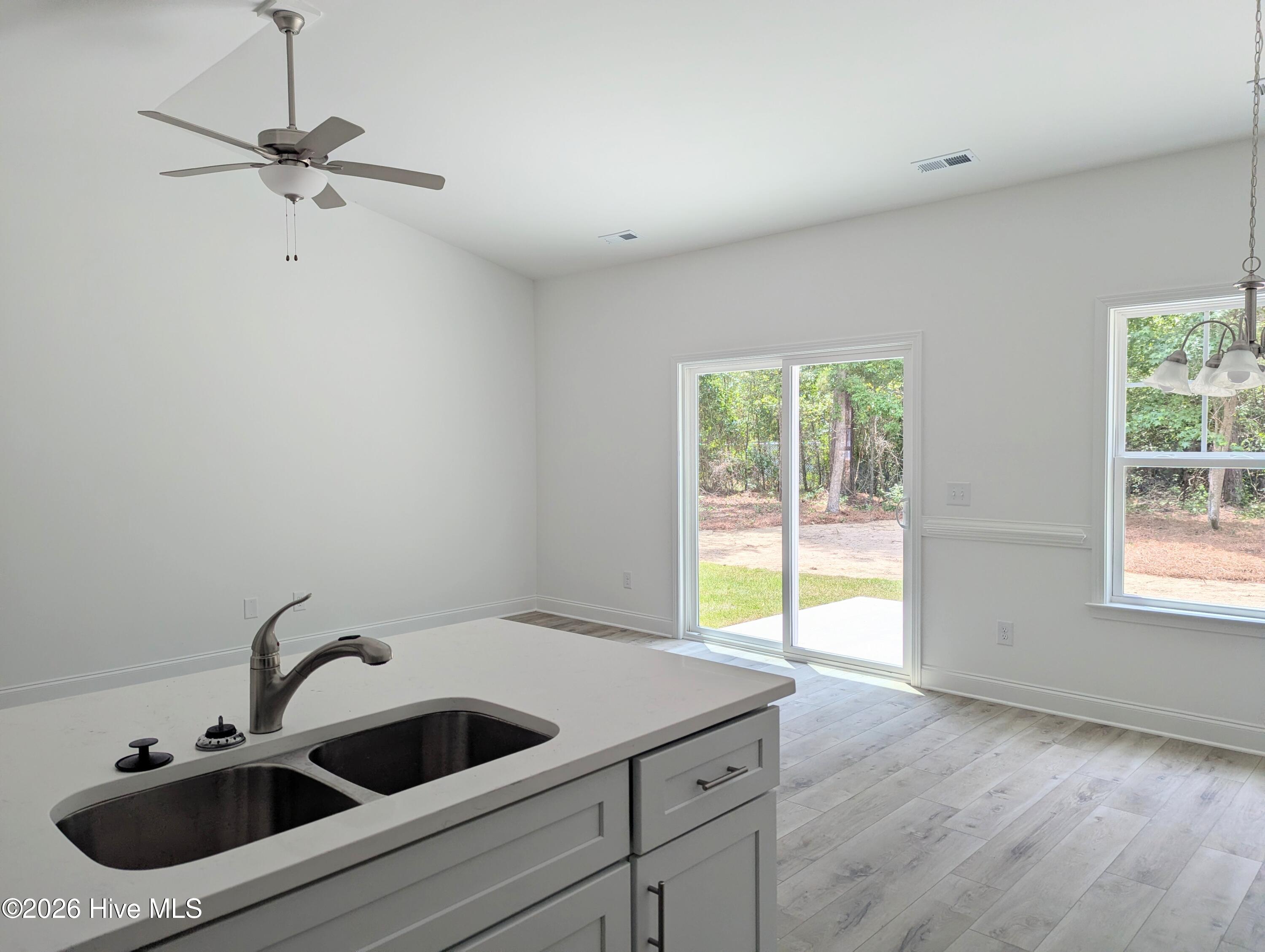 423 Vineyard Trace Property Photo 4