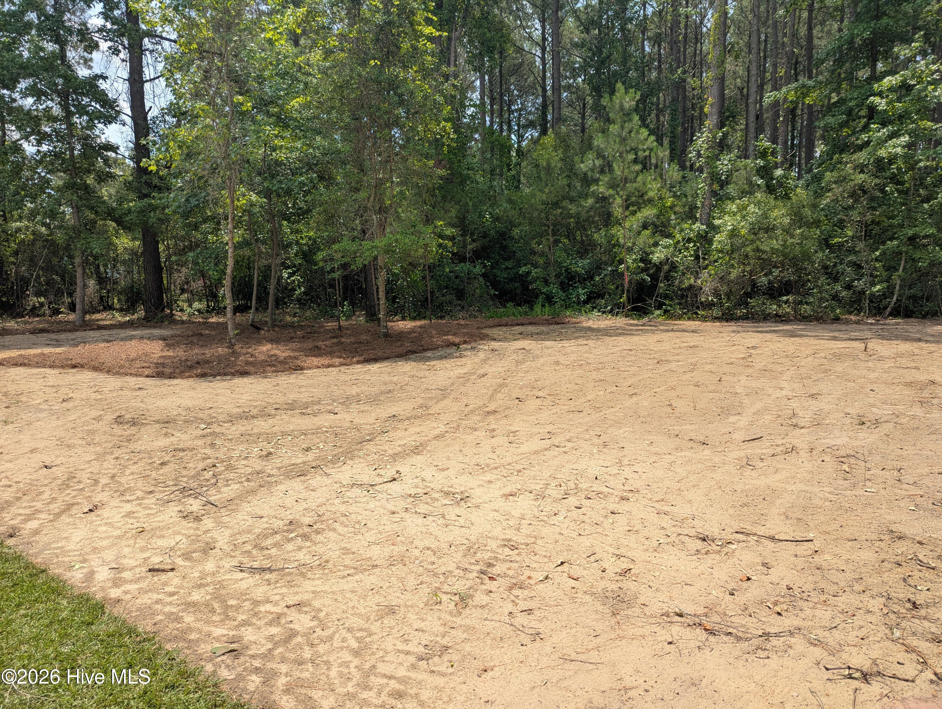 423 Vineyard Trace Property Photo 17