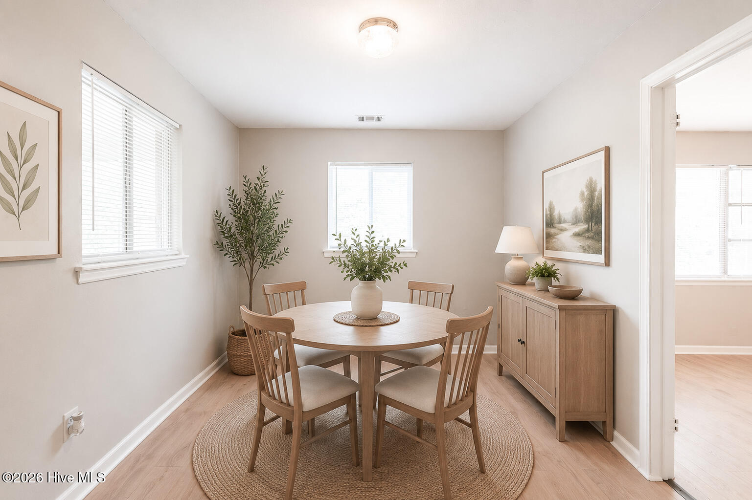 126 Elder Street Property Photo 7