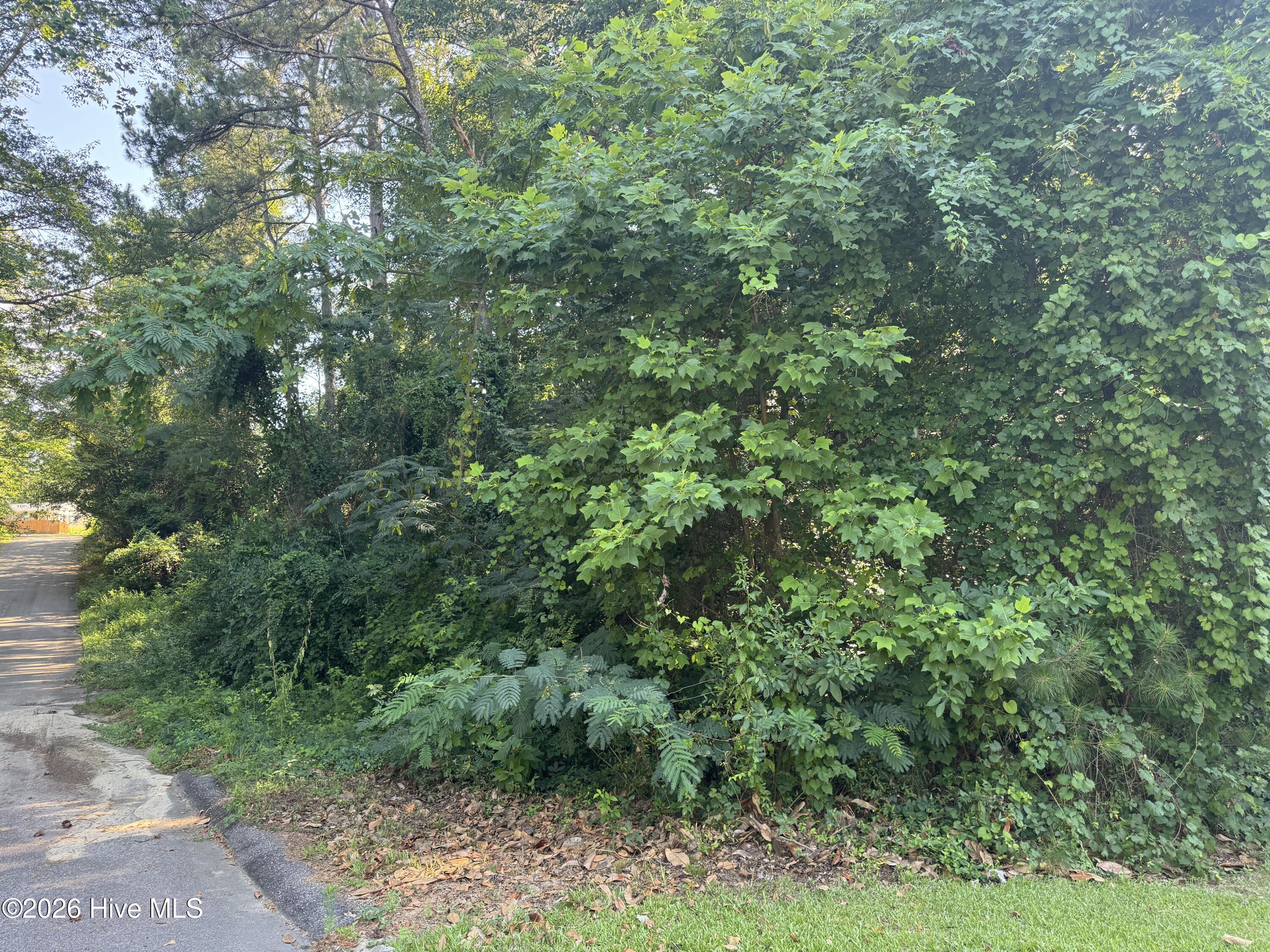 201 Shaw Road Property Photo 21