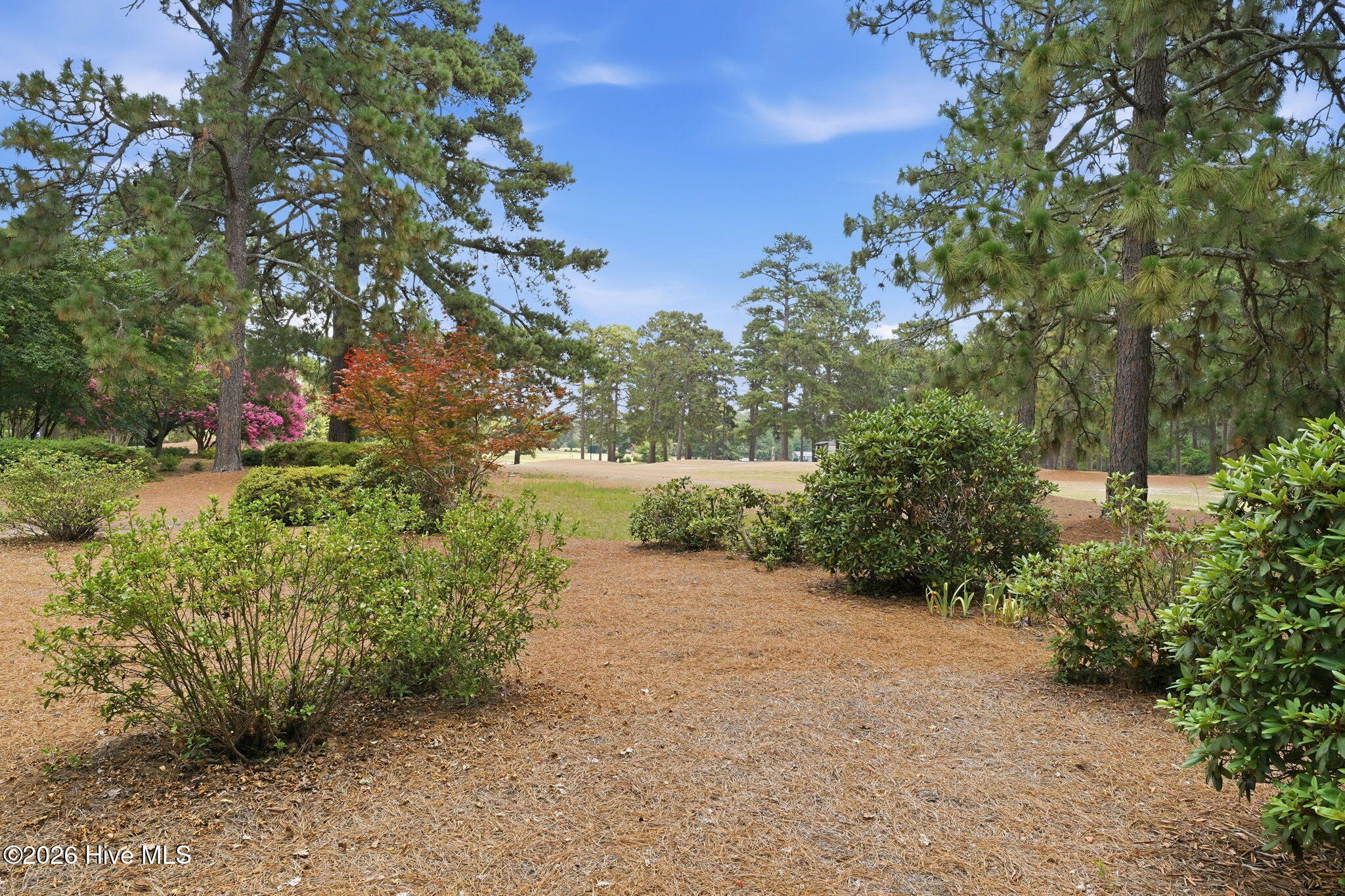 160 Fairway Drive Property Photo 49