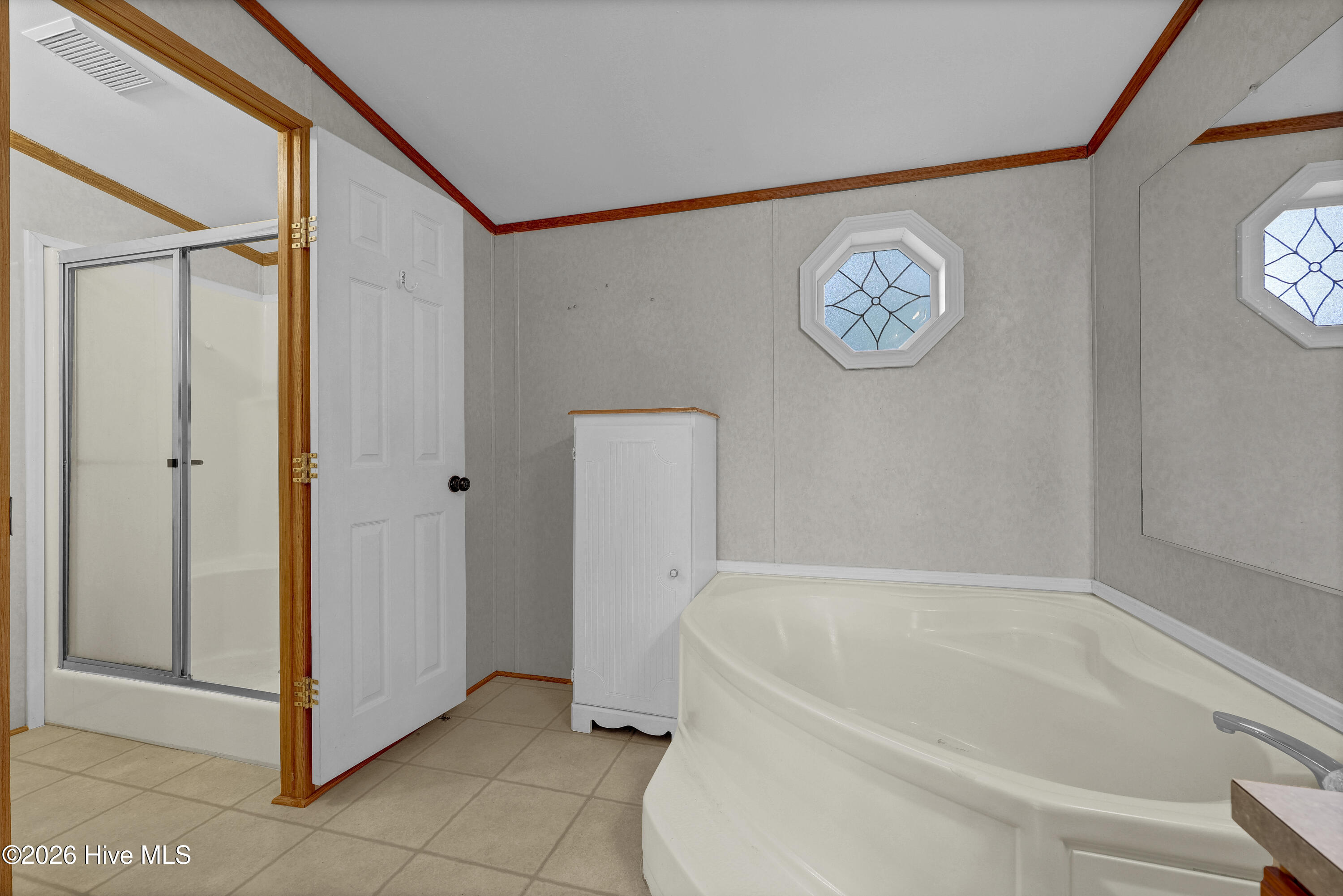 201 Blue Fan Street Property Photo 42