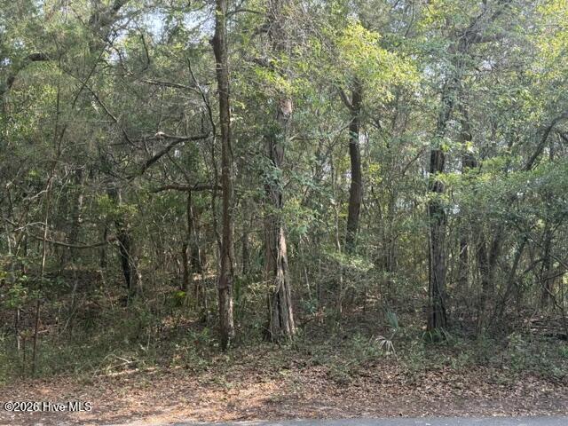 6 Colonel William Rhett Trail Property Photo 3