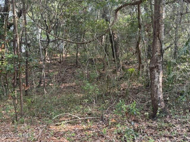 6 Colonel William Rhett Trail Property Photo 4