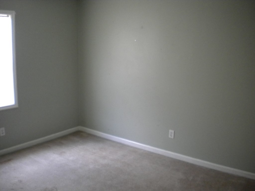 267 Parnell Road Property Photo 8