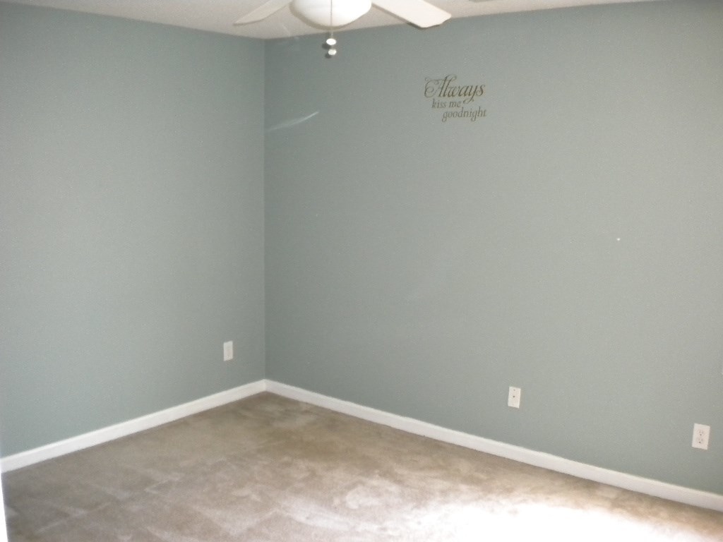 267 Parnell Road Property Photo 11