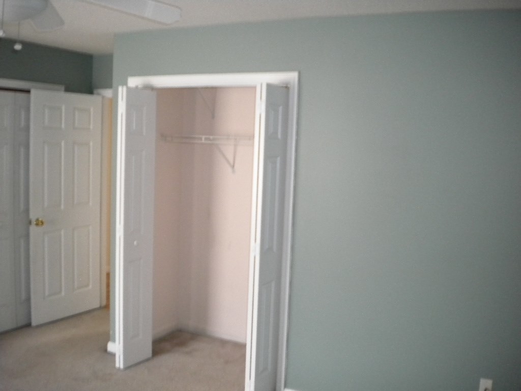 267 Parnell Road Property Photo 12