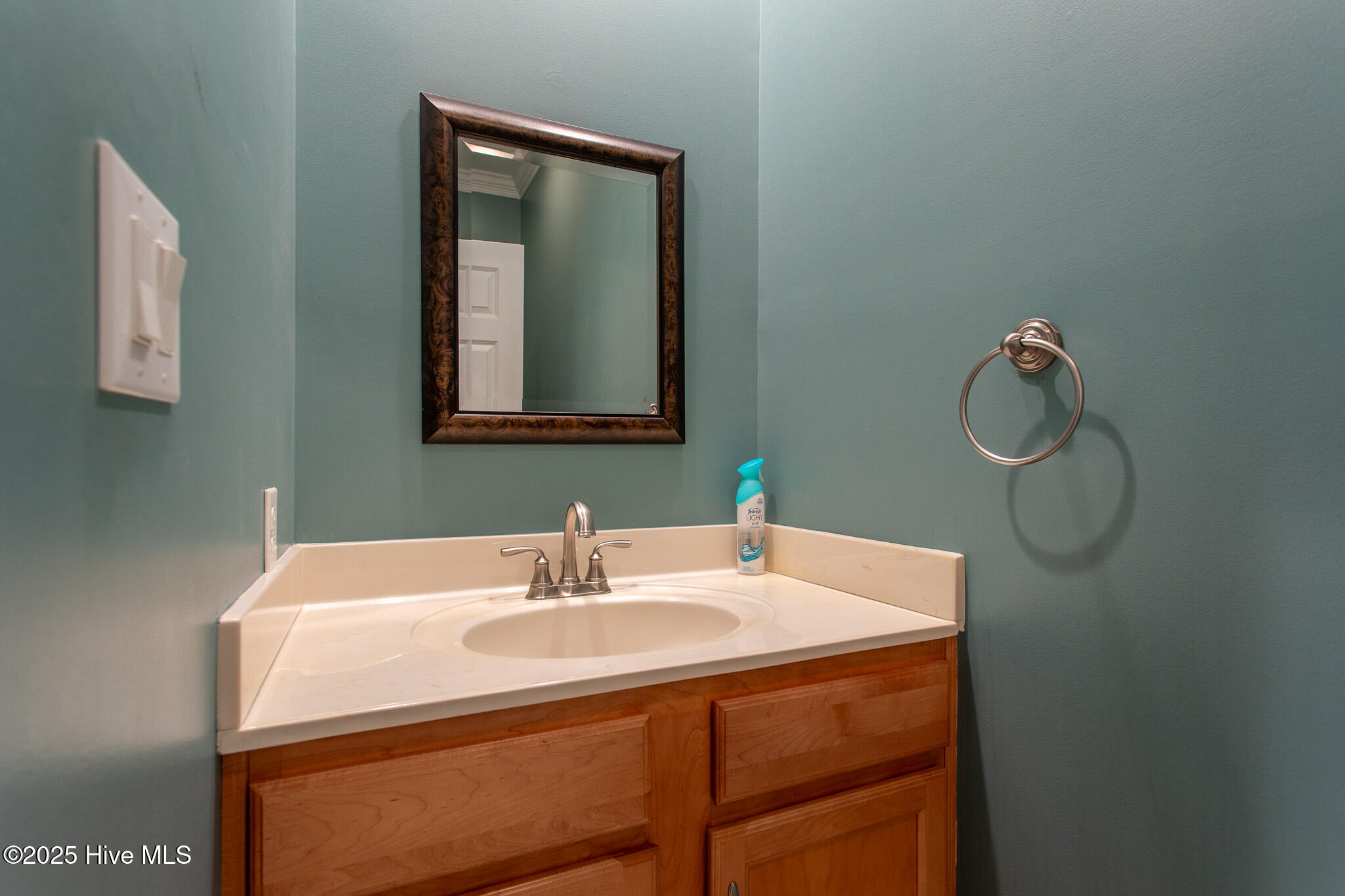 106 Reddes River Court Property Photo 58