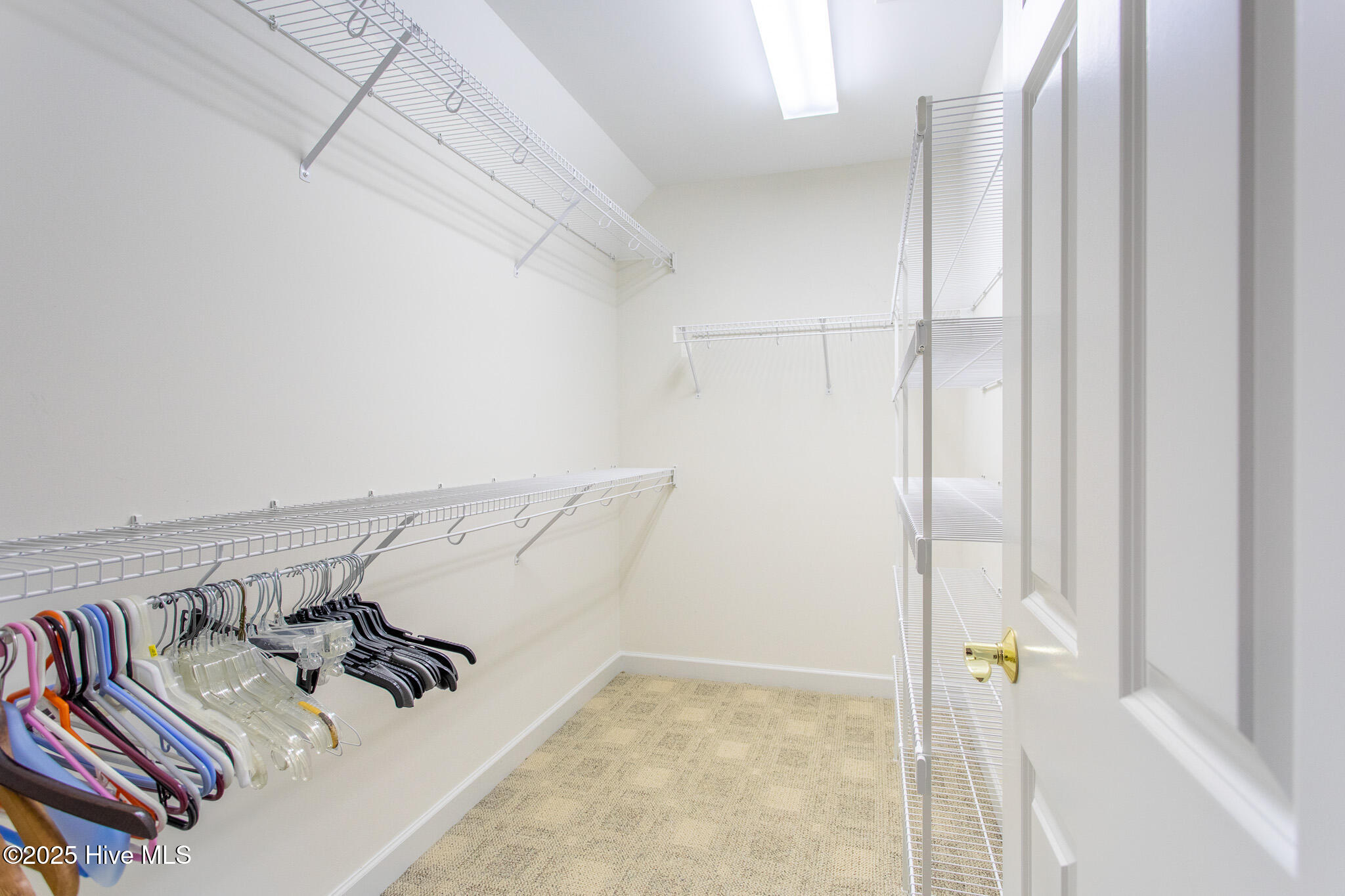 106 Reddes River Court Property Photo 67