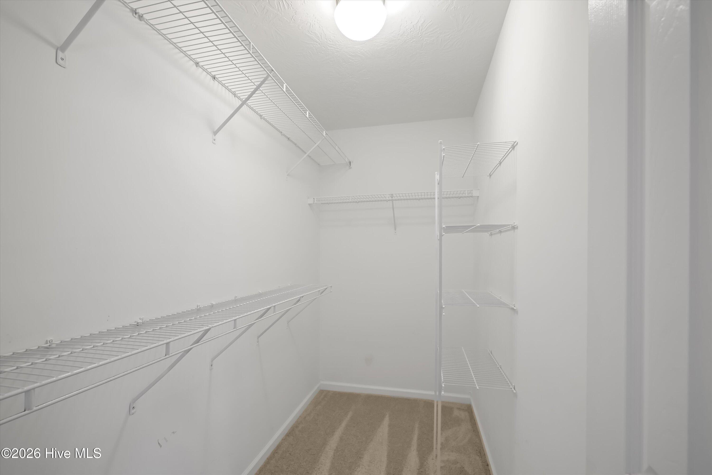 1242 Watsonia Drive Property Photo 27