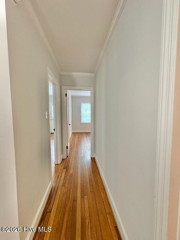 207 Talbot Street Property Photo 12