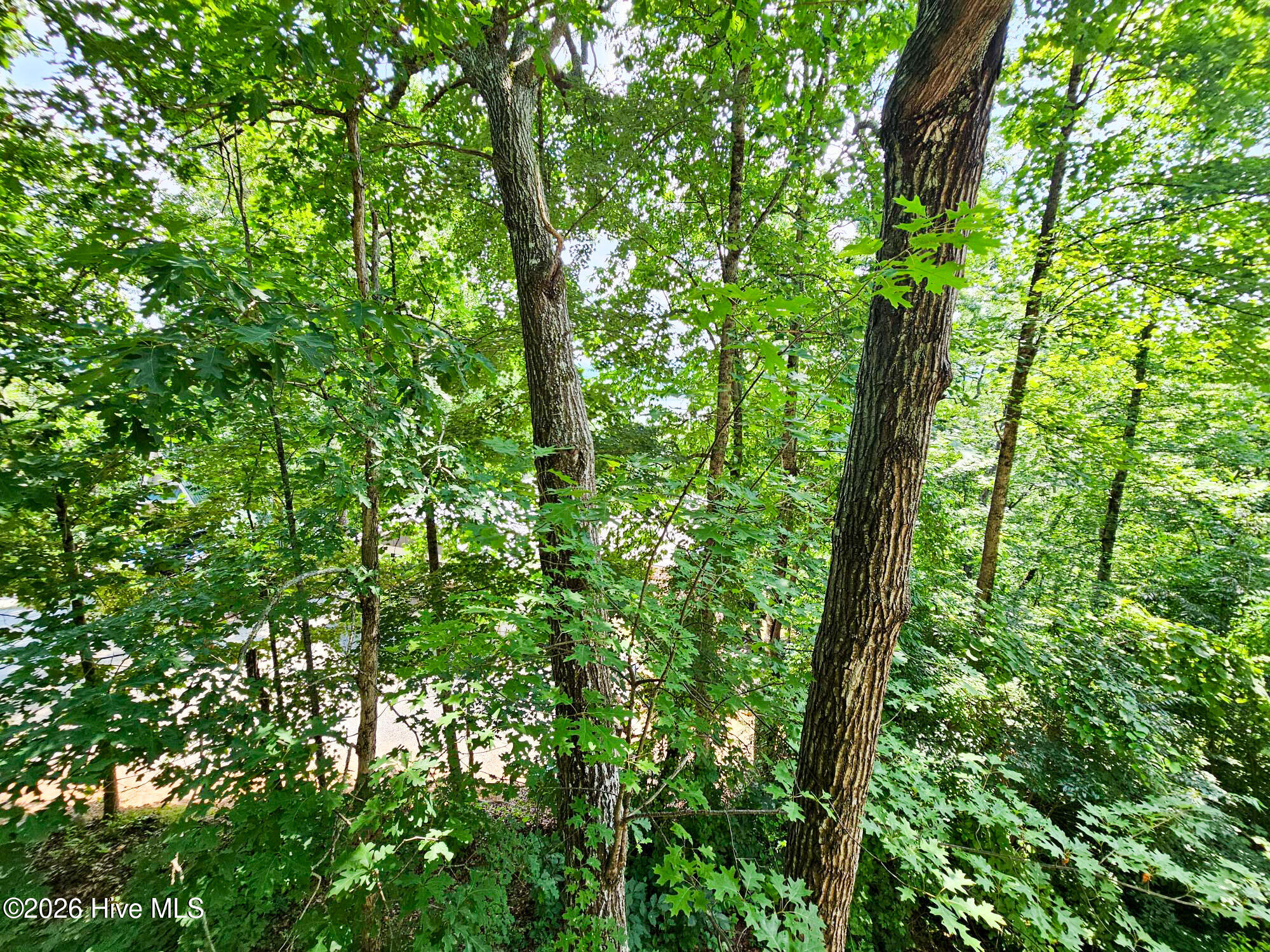128 Manor Drive A & B Property Photo 39