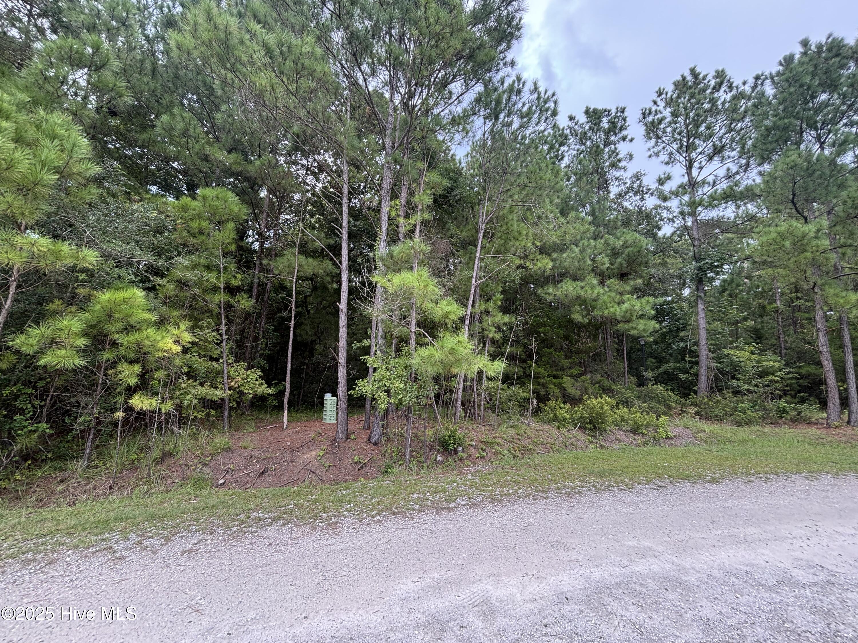 4110 Arabian Way Sw Property Photo 7