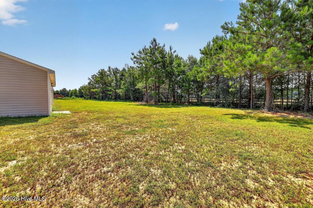 247 Windswept Way Property Photo 8